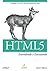 HTML5 Entendendo e Executando