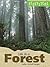 Ecosystems - Life in a Forest