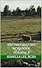 RBT Preparatory Workbook by Ramella Lee