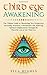 Third Eye Awakening: The Ultimate Guide to Discovering New Perspectives, Increasing Awareness, Consciousness and Achieving Spiritual Enlightenment Through the Powerful Lens of the Third Eye
