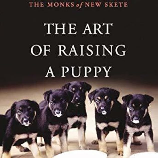The Art of Raising a Puppy