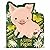 A Little Piglet