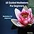 10 Guided Meditations For B...