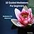 10 Guided Meditations For Beginners by Rayna Zara