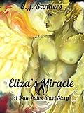 Eliza's Miracle