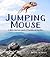 Jumping Mouse: A Native American Legend of Friendship and Sacrifice