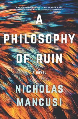A Philosophy of Ruin (Hardcover)