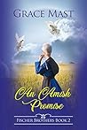 An Amish Promise ...