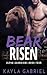 Bear Risen (Alpha Guardians)