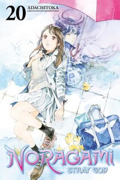 Noragami: Stray God, Vol. 20 (Noragami: Stray God, #20)