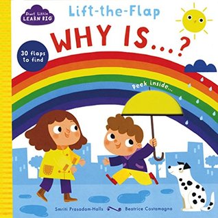 Start Little Learn Big Lift-the-Flap Why Is.? (Board book)