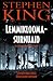 Lemmikloomasurnuaid by Stephen  King