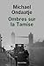 Ombres sur la Tamise (French Edition)