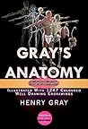 Gray's Anatomy: C...