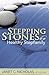 Stepping Stones to a Healthy Stepfamily by Janet Nicholas