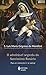 O admirável segredo do Santíssimo Rosário: Para se converter e se salvar (Portuguese Edition)