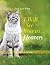 I Will See You in Heaven by Jack Wintz