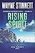 Rising Water by Wayne Stinnett
