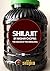 Shilajit: The Healer of the...