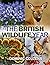 The British Wildlife Year