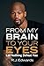 From My Brain to Your Eyes:...