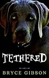 Tethered (County Line Horror Book 4) Tethered (County Line Horror Book 4)