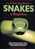 the Great Big Book of Snakes & Reptiles