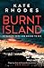Burnt Island (DI Ben Kitto, #3)
