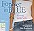 Forever in Blue by Ann Brashares