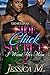 Side Chick Secrets 2: I Want Her Man