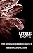 LITTLE DOVE: (The Redenzion...