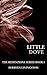 LITTLE DOVE: (The Redenzione Series Book 1)