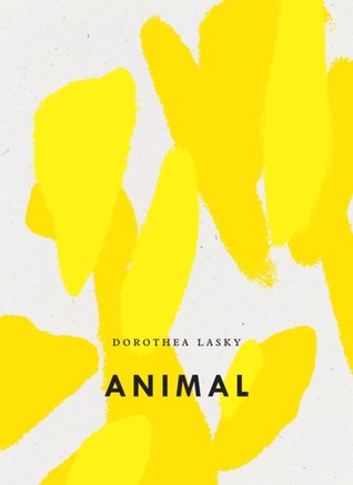 Animal (Paperback)