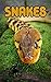 Snakes: 30 Fun Facts That Y...