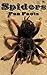 Spiders Fun Facts: 25 Facts...
