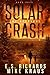 The Recovery (Solar Crash, #4)