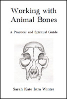 Working With Animal Bones: A Practical and Spiritual Guide