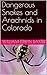 Dangerous Snakes and Arachnids in Colorado by William Edwin Baxter