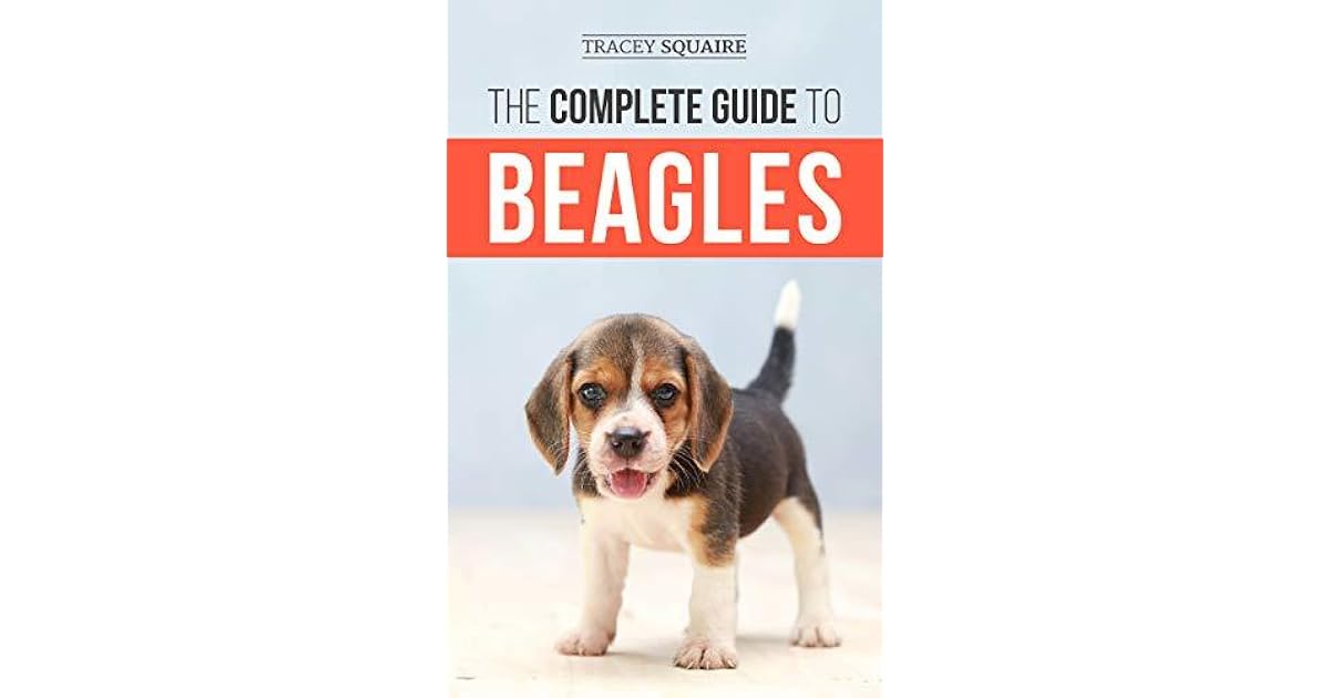 housebreaking a beagle