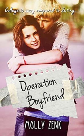 Operation Boyfriend (ebook)