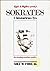 Sokrates i historiens lys - En samling nordiske studier by Egil A. Wyller