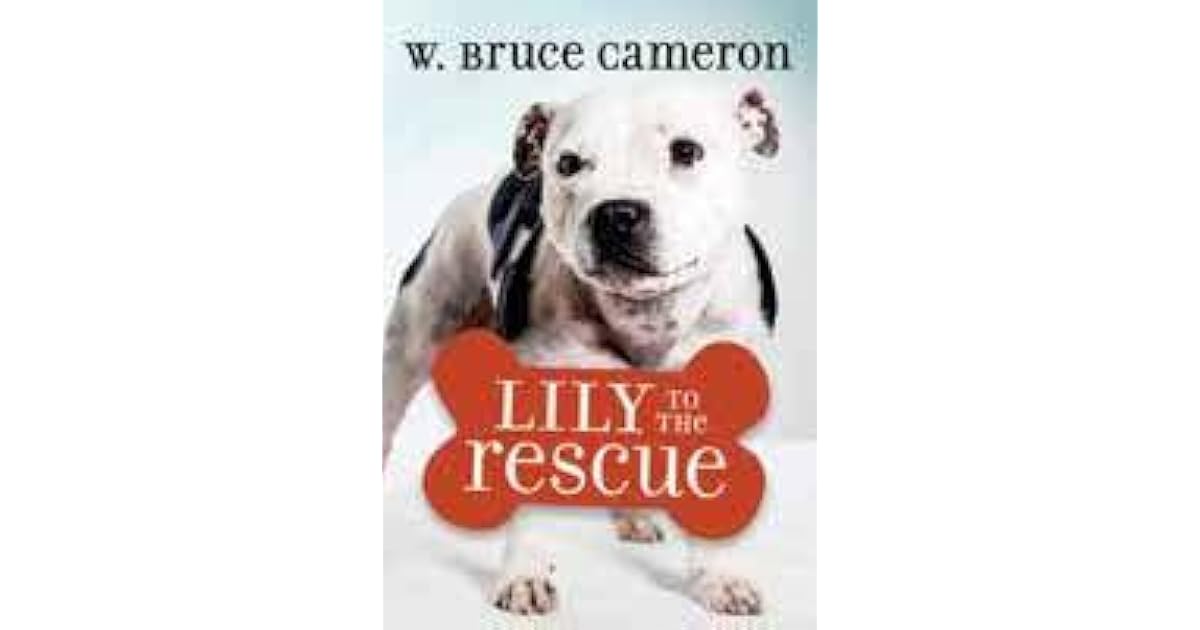 Lily to the Rescue (Lily to the Rescue! 1) by W. Bruce Cameron