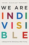 We Are Indivisible by Leah Greenberg