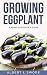 Growing Eggplant by albert swope
