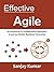 Effective Agile: An Empiric...
