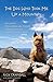 The Dog Who Took Me Up a Mountain by Rick  Crandall