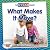 What Makes It Move? (Full STEAM Ahead! - Science Starters)