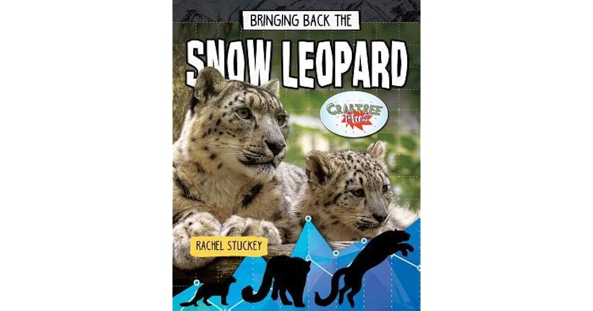 Bringing Back the Snow Leopard by Rachel Stuckey