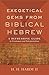 Exegetical Gems from Biblical Hebrew: A Refreshing Guide to Grammar and Interpretation