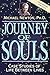 Journey of Souls: Case Stud...